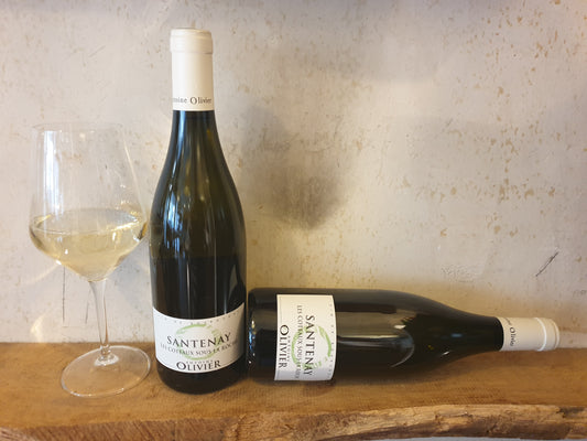 Santenay "Les Coteaux sous la Roche" AOP Chardonnay Domaine Olivier 2019 0,75 L
